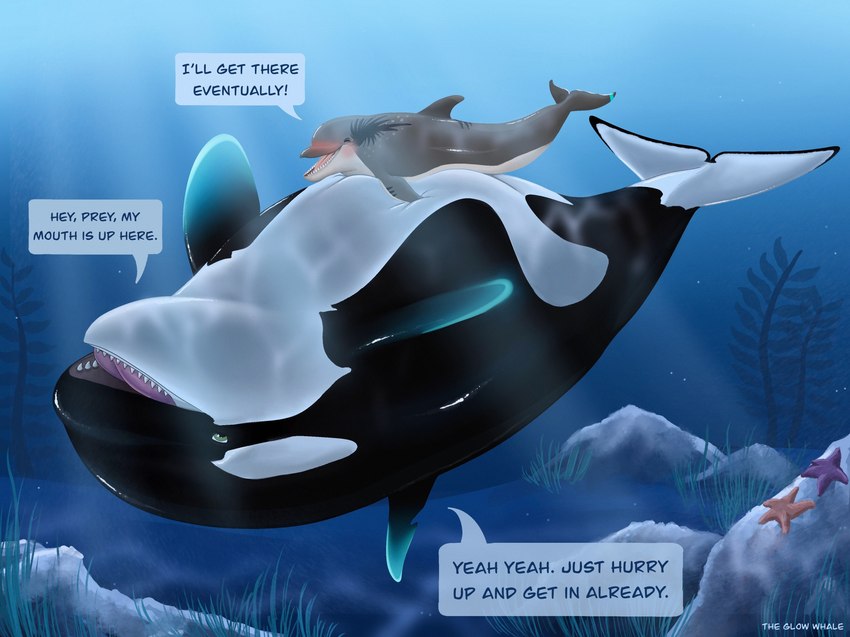 belly big_belly black_body blush duo eyes_closed female feral grey_body lying male male/female on_front rock text underwater upside_down vore water white_body the_glow_whale bottlenose_dolphin cetacean dolphin mammal marine oceanic_dolphin orca toothed_whale 2025 english_text hi_res