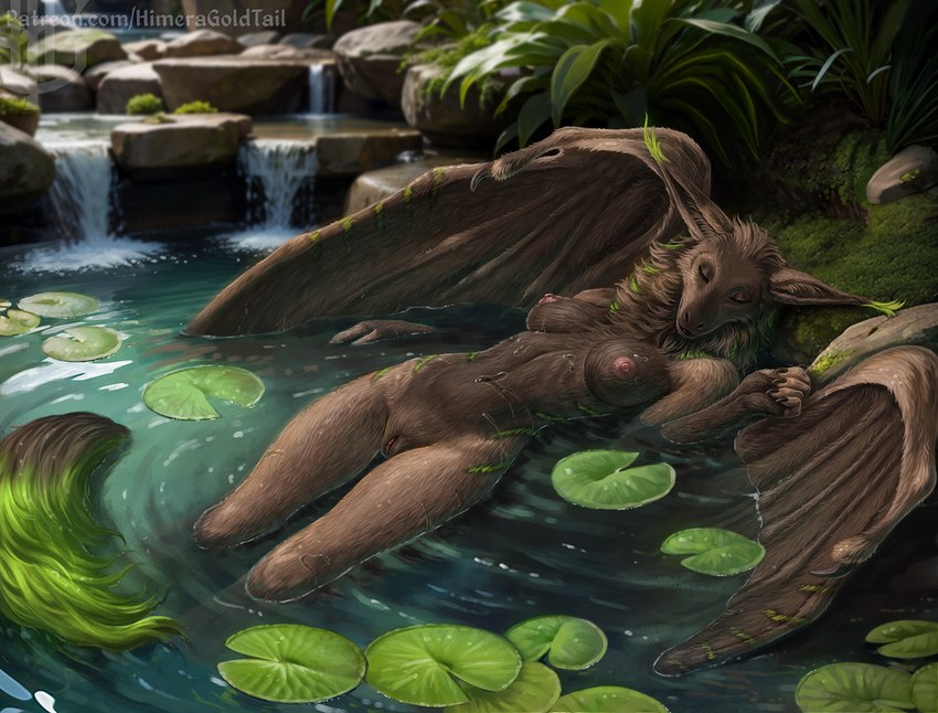 anthro brown_body brown_fur brown_wings eyes_closed female fur furred_wings genitals head_tuft humanoid_genitalia humanoid_pussy leaf lily_pad lying membrane_(anatomy) membranous_wings moss nipples nude on_back partially_submerged plant pussy solo tuft wings himeragoldtail mythology salvatrix dragon furred_dragon furred_scalie mythological_creature mythological_scalie scalie 2023 detailed