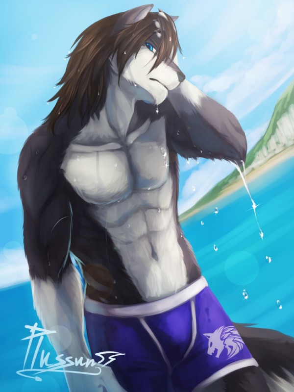 abs anthro athletic athletic_anthro athletic_male beach black_body black_fur black_nose blue_eyes brown_hair clothed clothing dripping fur hair male outside seaside solo topless wet canime plussun canid canine mammal 3:4 hi_res