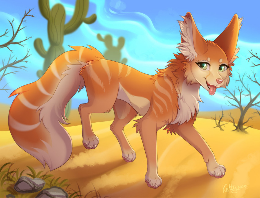 4_toes cactus day desert detailed_background feet female feral green_eyes inner_ear_fluff outside paws plant sand sky solo toes tuft ketty sheila_(terrythetazzytiger) canid canine fox mammal 2020 digital_media_(artwork)