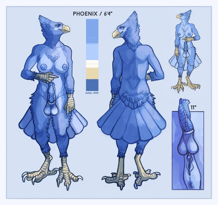 anthro anus avian_feet balls beak blue_anus blue_balls blue_body blue_eyes blue_feathers blue_nipples blue_penis blue_pussy border breasts clitoris erection feathers feet genitals herm ice intersex magic magic_user nipples non-mammal_balls non-mammal_nipples nude penis pussy solo standing talons toes white_border yellow_beak jagal lourina_kirinova avian bird cryophoenix hi_res model_sheet