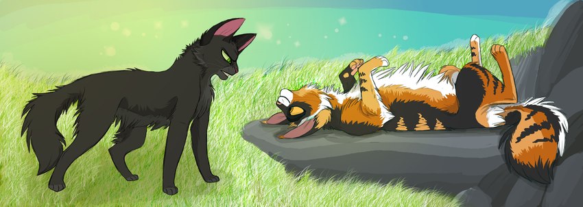 ambiguous_feral ambiguous_gender annoyed black_body black_fur detailed_background duo eye_contact feet feral fluffy fur grass green_eyes looking_at_another lying multicolored_body multicolored_fur on_back on_rock orange_eyes outside paws plant quadruped rock standing tail graystripe64 warriors_(book_series) hollyleaf_(warriors) sol_(warriors) domestic_cat felid feline felis mammal tortoiseshell_cat 2011 absurd_res digital_drawing_(artwork) digital_media_(artwork) hi_res female_(lore) male_(lore)