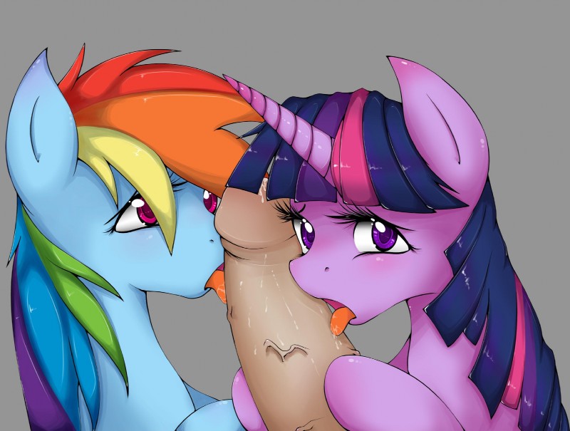 rainbow dash and twilight sparkle (friendship is magic and etc) created by grumblepluck