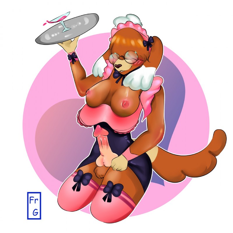 anthro blush breasts clothing erection eyewear genitals glasses gynomorph intersex legwear maid_uniform nipples penis solo stockings uniform freakster maly_paczek canid canine canis domestic_dog mammal 1:1 hi_res