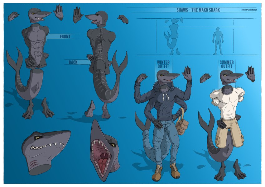 abs anthro border bottomwear bulge clothed clothed/nude clothing denim denim_bottomwear denim_clothing detachable_arms detached_hand grin hoodie jeans male muscular muscular_anthro muscular_male nude pants pecs smile solo teeth topwear white_border hamperhamster animal_humanoid fish fish_humanoid humanoid marine marine_humanoid shark shark_humanoid absurd_res cel_shading hi_res model_sheet shaded