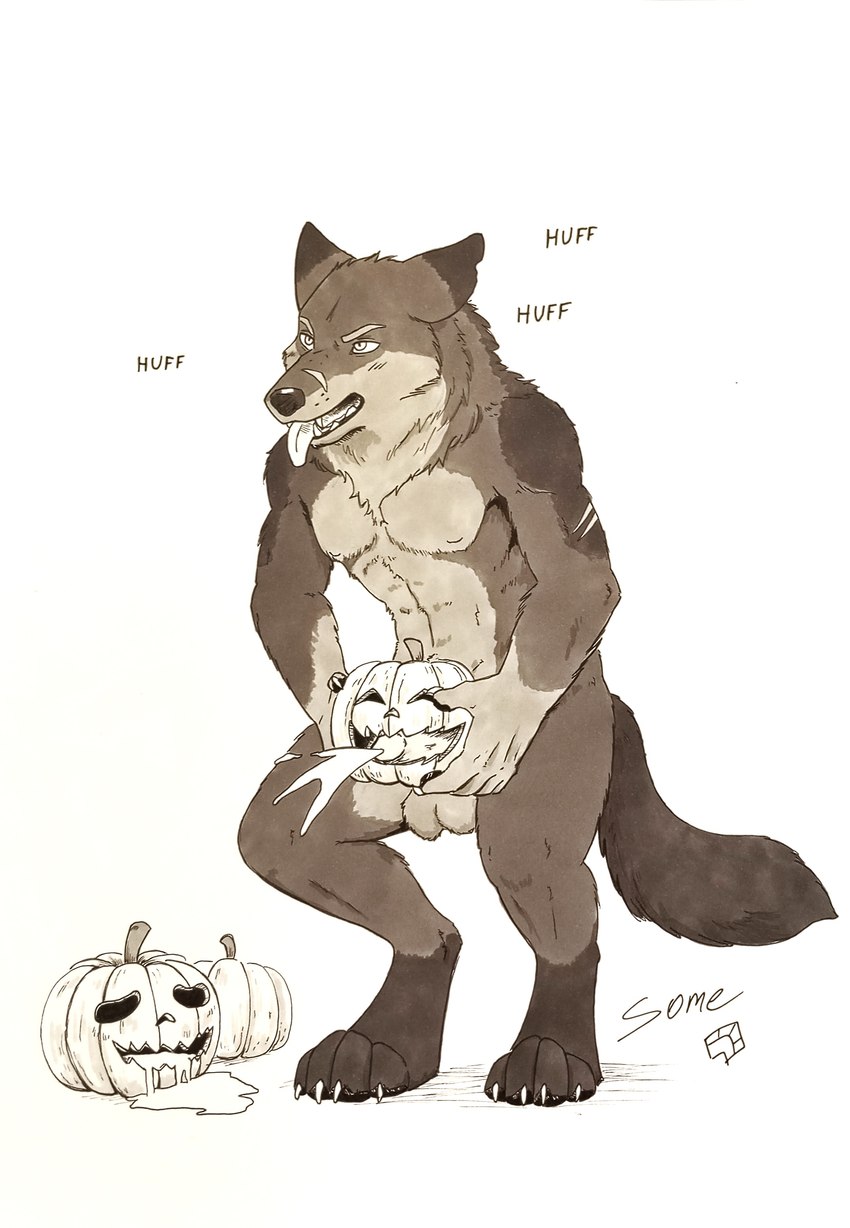 anthro bodily_fluids breath cum ejaculation food fruit genital_fluids genitals holding_object holding_pumpkin male masturbation open_mouth panting penetrating_pumpkin penis plant pumpkin pumpkin_masturbation scar solo standing tail tongue tongue_out some_(someone) mythology canid canine canis mammal mythological_canine mythological_creature werecanid werecanine werecreature werewolf wolf absurd_res hi_res