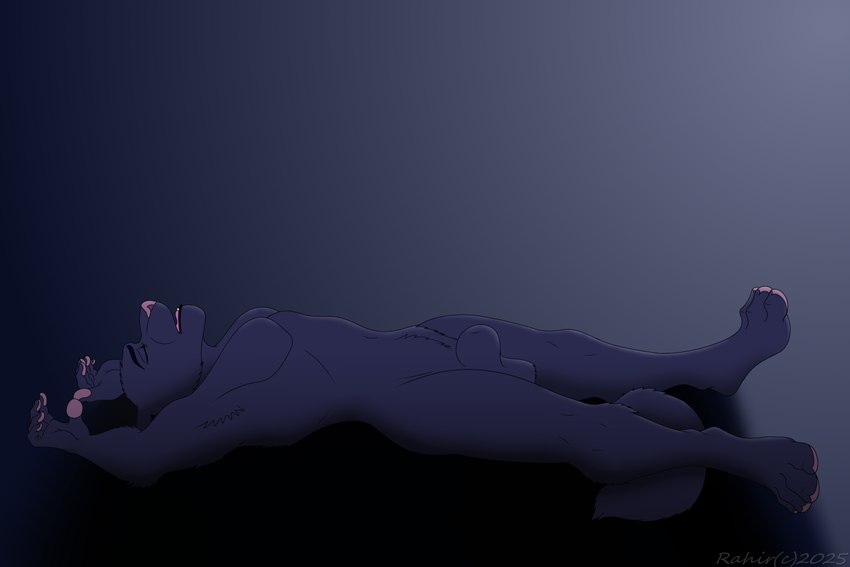 animal_genitalia anthro balls eyes_closed genitals lying male on_back sheath side_view sleeping solo rahir felid feline mammal 3:2