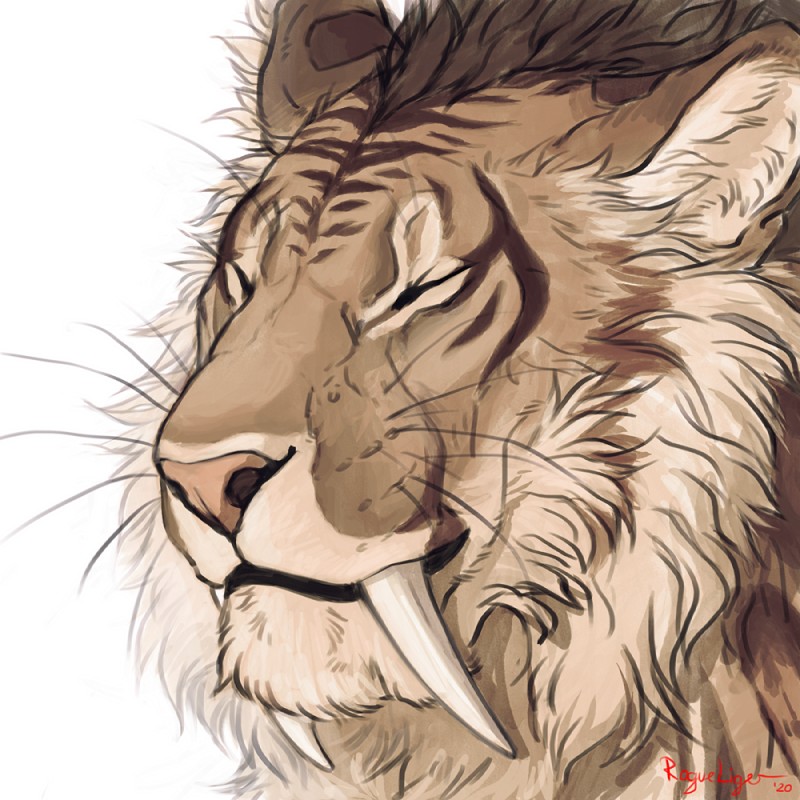 brown_body brown_fur eyes_closed feral fur male simple_background solo white_background rogueliger actual_(smilodon-actual) felid mammal prehistoric_species saber-toothed_tiger sabertooth smilodon smilodon_populator 1:1 2020 digital_media_(artwork) headshot_portrait icon portrait