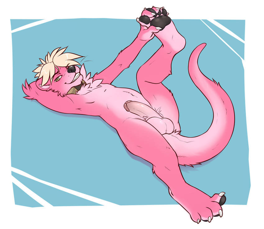 anthro balls balls_on_tail collar erection fur genitals humanoid_genitalia humanoid_penis looking_at_viewer male pawpads paws penis pink_body pink_fur pink_penis pose solo tail dragonataxia ottah mammal mustelid otter river_otter pinup