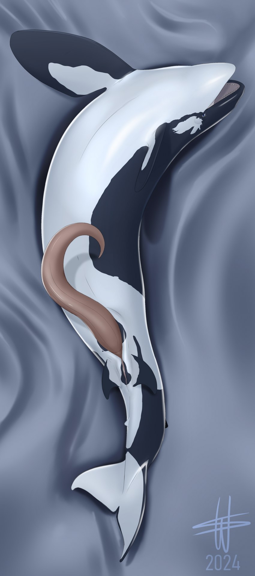 animal_genitalia animal_penis black_body blue_eyes cetacean_genitalia cetacean_penis erection feral genital_slit genitals herm intersex male male_feral multicolored_body open_mouth penis pussy sea shadow solo tapering_penis two_tone_body water white_body year wesphin marmire cetacean dolphin fish hybrid mammal marine oceanic_dolphin orca shark toothed_whale 2024 absurd_res hi_res
