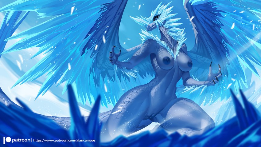 5_fingers anthro areola biped blue_areola blue_body blue_eyes blue_nipples blue_pussy blue_scales blurred_foreground breasts claws day feathered_wings feathers female finger_claws fingers genitals ice navel nipples non-mammal_breasts non-mammal_nipples nude outside patreon_logo pussy scales sky snow solo tail text website_logo wings alanscampos capcom monster_hunter mythology nintendo patreon dragon elder_dragon mythological_creature mythological_scalie scalie velkhana 16:9 digital_drawing_(artwork) digital_media_(artwork) hi_res url widescreen