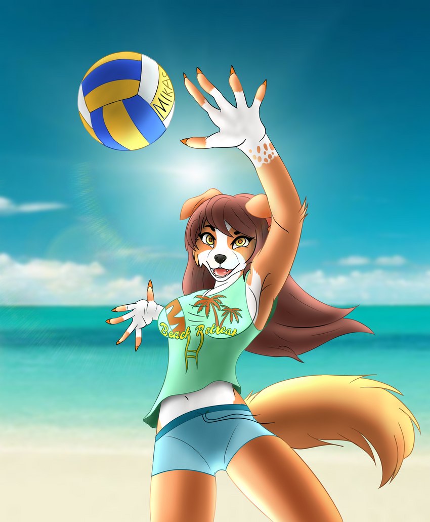 anthro ball beach beach_ball brown_hair clothed clothing curvy_figure detailed_background female fur hair inflatable jumping long_hair midriff navel outside pose sand sea seaside shirt short sky smile solo sport sunny swimwear topwear volleyball water lucareelo clear border_collie canid canine canis collie domestic_dog herding_dog mammal pastoral_dog sheepdog absurd_res hi_res shaded soft_shading