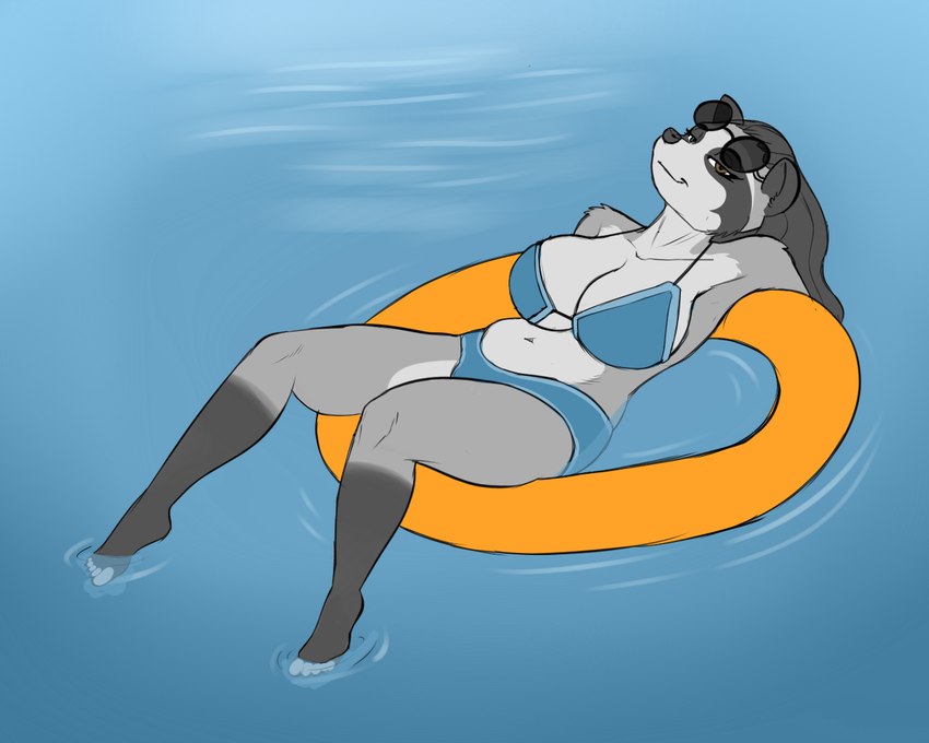 anthro big_breasts bikini bottomwear breasts clothed clothing female hair looking_at_viewer simple_background smile solo swimwear thick_thighs two-piece_swimsuit blackbetty franciene_(tango's_family) mammal procyonid raccoon 5:4