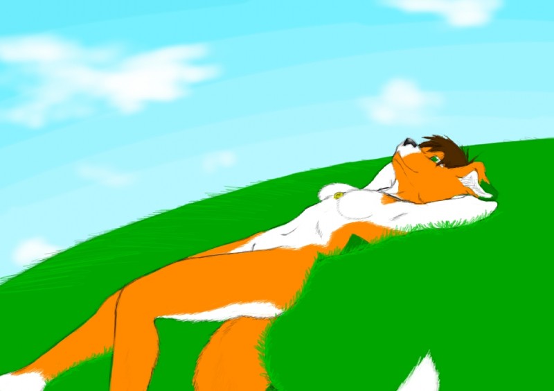 anthro breasts cloud female grass nude plant relaxing solo summer tail koosh-ball legna bird_dog canid canine canis domestic_dog hunting_dog mammal retriever