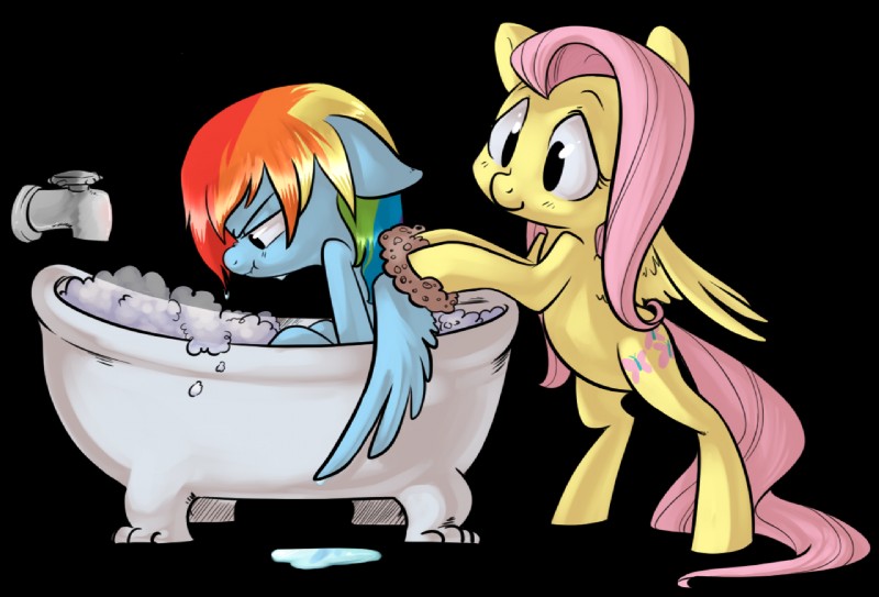 fluttershy and rainbow dash (friendship is magic and etc) created by briskby