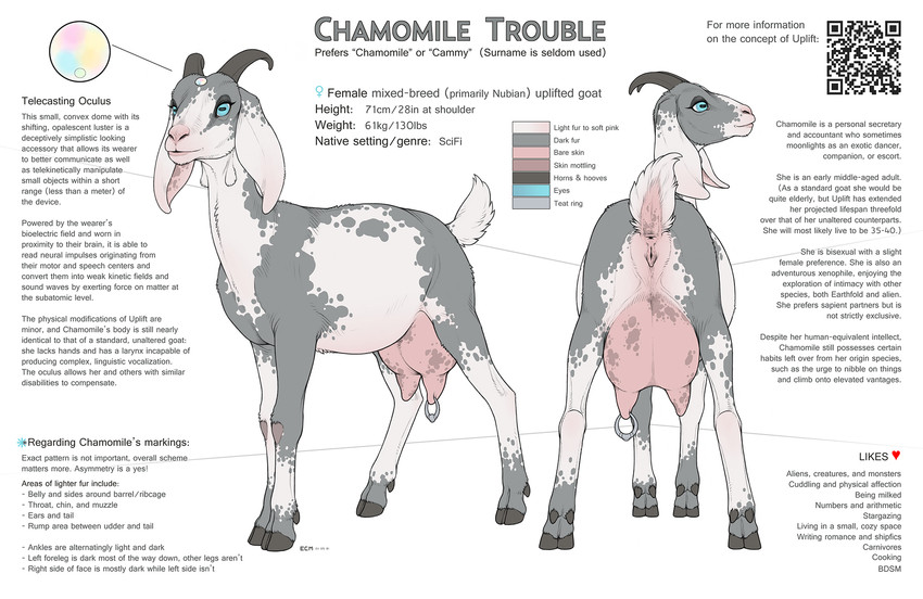 chamomile trouble created by ecmajor