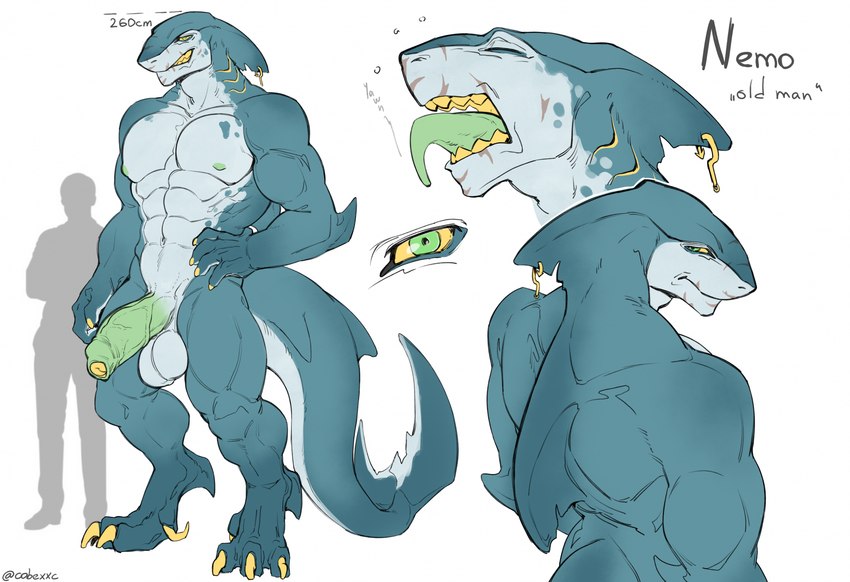 abs anthro digitigrade fin fin_piercing foreskin furgonomics furry-specific_piercing genitals gills male muscular muscular_anthro muscular_male navel nipples pecs penis piercing simple_background solo standing tail teeth tongue tongue_out white_background cobu nemo_(cobu) fish marine shark hi_res model_sheet