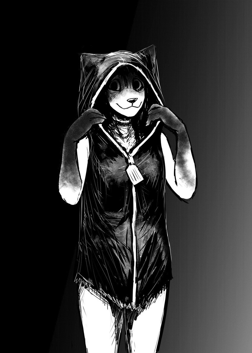 anthro body_bag clothing dress female gradient_background hoodie looking_at_viewer simple_background solo topwear zipper zipper_dress hladilnik carol_(hladilnik) canid canine canis domestic_dog ghost mammal spirit 2022 black_and_white hi_res monochrome