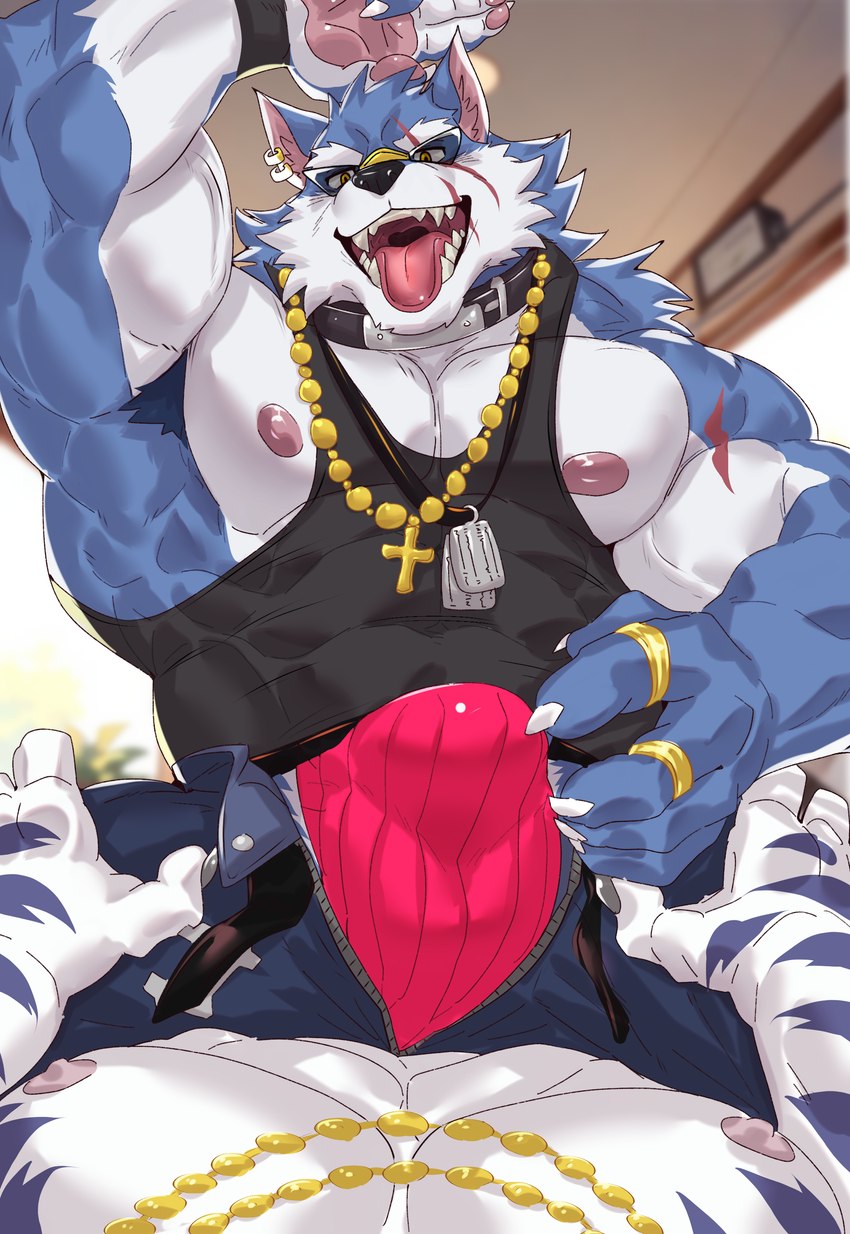 abs anthro armpit_hair biceps body_hair bulge clothing collar dog_tags duo ear_piercing fur jewelry jockstrap male muscular muscular_anthro muscular_male necklace nipples pecs piercing sharp_teeth teeth tongue tongue_out underwear istani dislyte lilith_games freddy_(dislyte) jin_qiu_(dislyte) canid canine canis felid mammal pantherine tiger wolf absurd_res hi_res