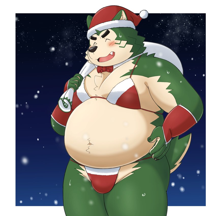 anthro belly bikini blush bulge christmas_clothing christmas_headwear clothed clothing crossdressing embarrassed eyebrows fur green_body green_fur hat headgear headwear holidays male navel overweight overweight_male santa_hat smile snow snowing solo swimwear thick_eyebrows two-piece_swimsuit yaki_atsuage christmas lifewonders live_a_hero mokdai canid canine canis domestic_dog mammal 1:1 hi_res