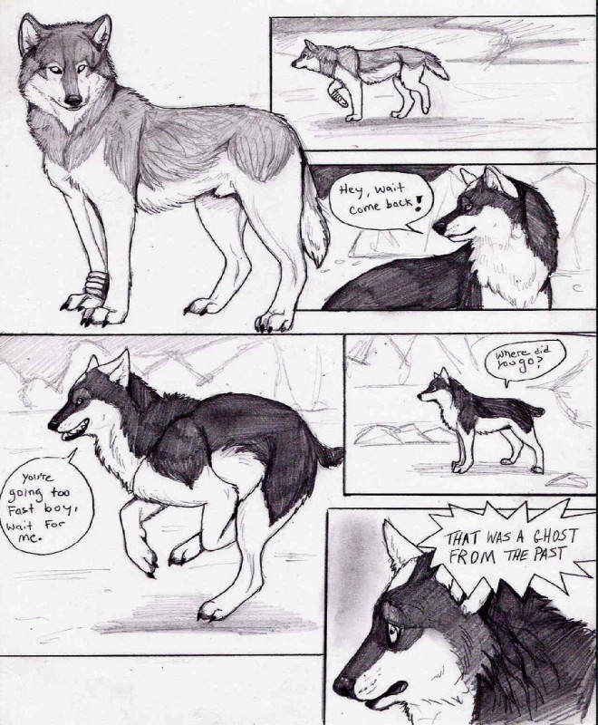 animal_genitalia dialogue digitigrade female feral genitals male quadruped sheath simple_background tail text white_background natsumewolf rikku wolf's_rain wolf's_rain_next_generation coop_(wrng) natsume_(wrng) oz_(wrng) toboe_(wolf's_rain) canid canine canis mammal wolf comic english_text greyscale monochrome