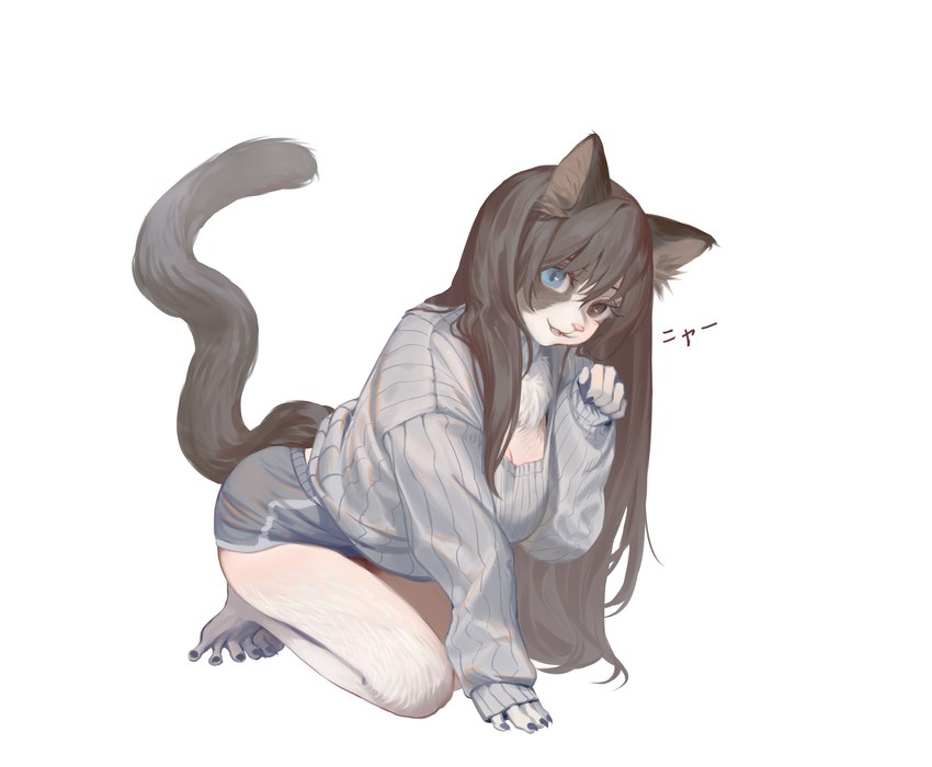 all_fours anthro barefoot black_hair blue_eyes bottomwear breasts clothing feet female hair looking_at_viewer shorts simple_background solo species_transformation sweater tail topwear transformation white_background ora_ozen domestic_cat felid feline felis mammal 2024 absurd_res digital_media_(artwork) hi_res