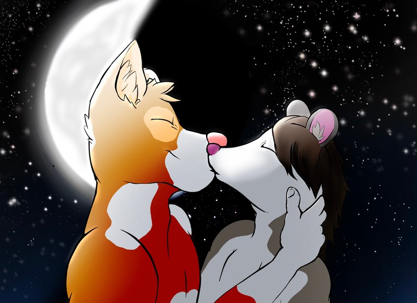 anthro kissing love male male/male moon night romantic star dante_mutt_(artist) american_opossum canid canine canis domestic_dog mammal marsupial absurd_res hi_res