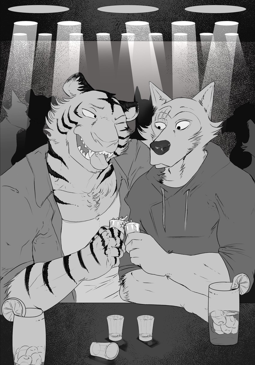 alcohol beverage bread clothing duo_focus food group inside male party toast tongue tongue_out burrserk beastars bill_(beastars) legoshi_(beastars) bengal_tiger canid canine canis felid mammal pantherine tiger wolf absurd_res hi_res monochrome