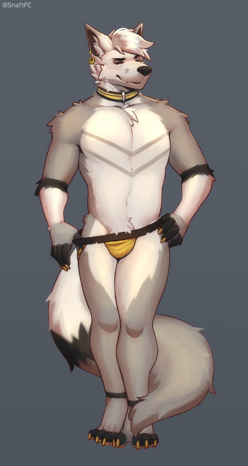 4_toes 5_fingers anthro bulge claws clothing collar ear_piercing feet fingers fluffy fur grey_body grey_fur hair jockstrap long_tail male piercing simple_background smile smiling_at_viewer smirk smirking_at_viewer solo standing tail toes underwear undressing white_body white_fur white_hair yellow_claws yellow_clothing yellow_collar yellow_jockstrap yellow_underwear snaftfc canid canine canis mammal wolf absurd_res hi_res