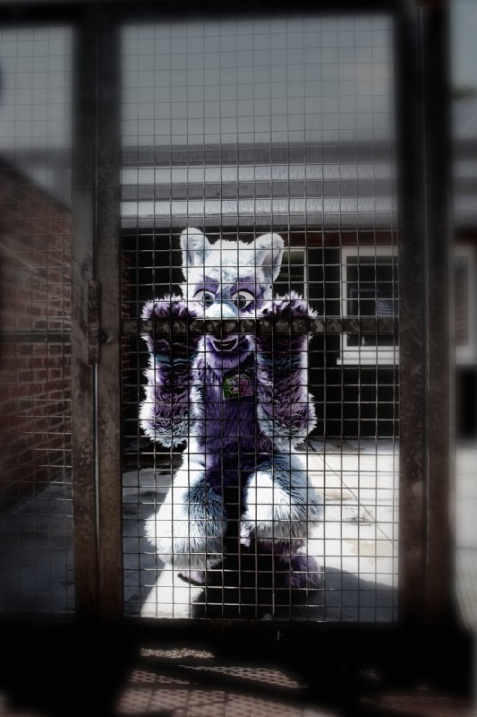 anthro bars blue_eyes cage character_badge_(object) clothing commentary costume fursuit looking_at_viewer male real sad solo stripes noodle_soup keenora canid canine canis mammal wolf 2010 grandfathered_content hi_res photography_(artwork)