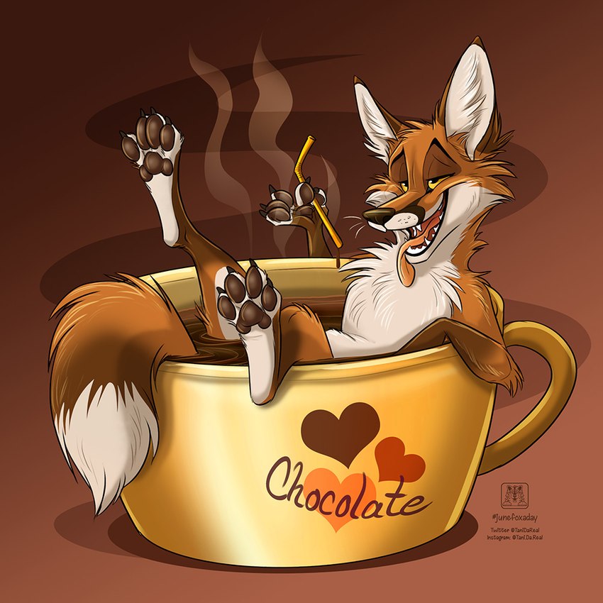 ambiguous_gender arm_over_edge arms_bent bathing bendy_straw bent_leg beverage brown_body brown_ears brown_fur brown_pawpads candy chocolate container cup dessert drinking_straw extended_leg feral food fur gradient_background heart_container heart_print heart_symbol holding_object hot_chocolate in_beverage in_container in_cup inner_ear_fluff looking_away one_leg_up open_mouth over_edge pawpads print_container raised_leg resting_leg simple_background solo steam sunken_seat supported_leg tail_over_edge tea_cup text tongue tongue_out tuft up_and_over white_body white_fur white_inner_ear_fluff conditional_dnp tani_da_real canid canine fox mammal red_fox true_fox 1:1