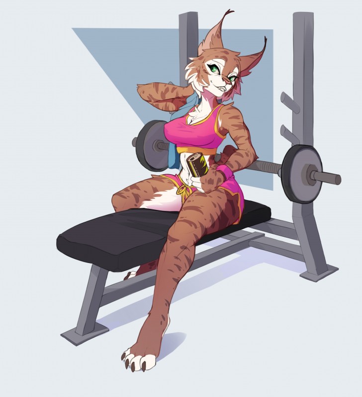 anthro breasts chest_tuft cleavage clothed clothing female green_eyes midriff nipple_outline skimpy solo towel tuft weights shycryptid zeha felid feline lynx mammal absurd_res hi_res