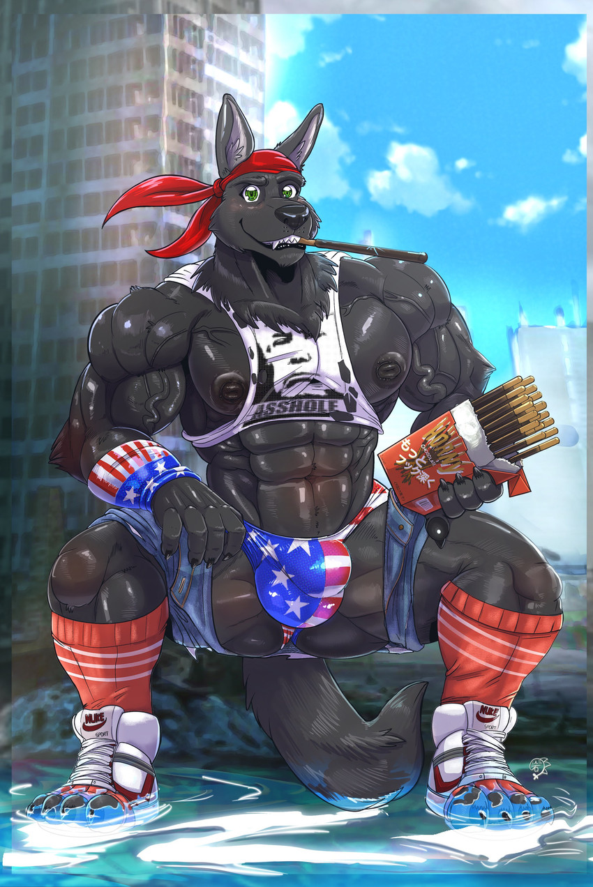 anthro big_nipples black_body black_fur bulge clothing detailed_bulge food fur kerchief male muscular muscular_anthro muscular_male nipples red_kerchief shirt solo speedo swimwear tank_top topwear tokenworks pocky lupine_assassin canid canine canis mammal wolf absurd_res hi_res