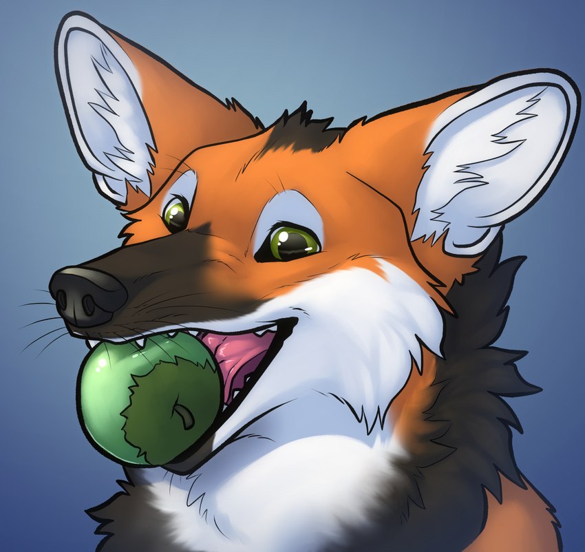 anthro apple apple_in_mouth black_body black_fur black_lips black_nose cheek_tuft facial_tuft fangs feral food food_in_mouth fruit fur glistening glistening_eyes glistening_nose glistening_tongue green_eyes happy head_tuft inner_ear_fluff lips neck_tuft orange_body orange_ears orange_fur pink_tongue plant simple_background solo teeth tongue tuft whiskers white_body white_fur white_inner_ear white_inner_ear_fluff skyelegs canid canine mammal maned_wolf hi_res