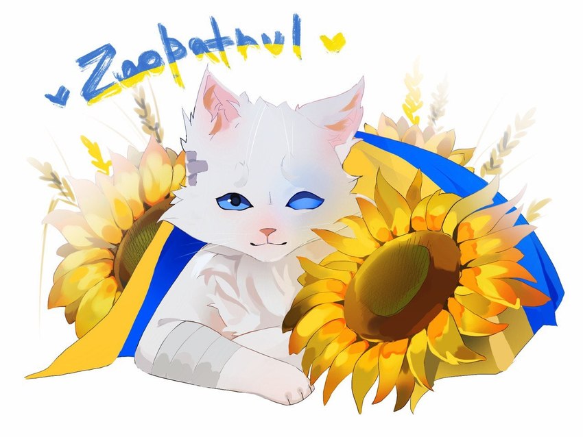 ambiguous_gender bandage feral flower heart_symbol looking_at_viewer plant politics simple_background solo sunflower text ukraine ukrainian_flag wheat white_background uritsuyo domestic_cat felid feline felis mammal 4:3