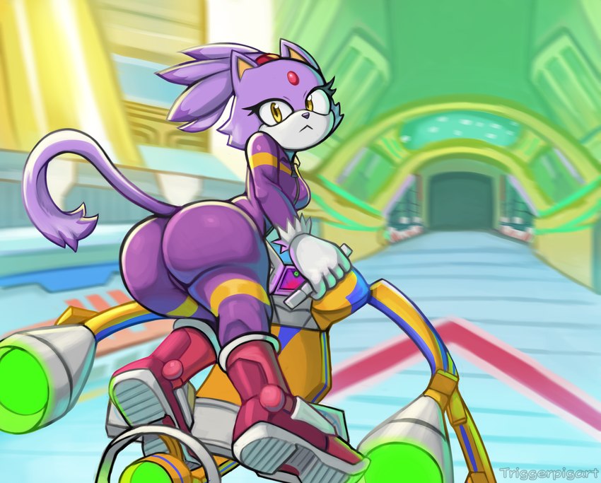 anthro butt clothed clothing female footwear fur hair looking_at_viewer looking_back looking_back_at_viewer multicolored_body multicolored_fur purple_body purple_fur purple_hair shoes solo two_tone_body two_tone_fur white_body white_fur yellow_eyes triggerpigart sega sonic_riders sonic_the_hedgehog_(series) blaze_the_cat domestic_cat felid feline felis mammal 2024 hi_res