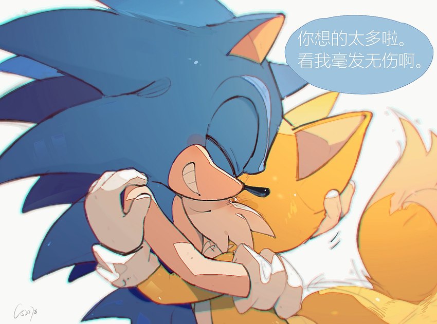 2_tails anthro blue_body blue_fur blue_hair blush bodily_fluids clothing duo eyes_closed footwear fur gloves hair handwear hug male multi_tail open_mouth open_smile shoes smile tail tan_body tears text white_body yellow_body yellow_fur young young_anthro c52278 sega sonic_the_hedgehog_(series) miles_prower sonic_the_hedgehog canid canine eulipotyphlan fox hedgehog mammal 2021 chinese_text hi_res