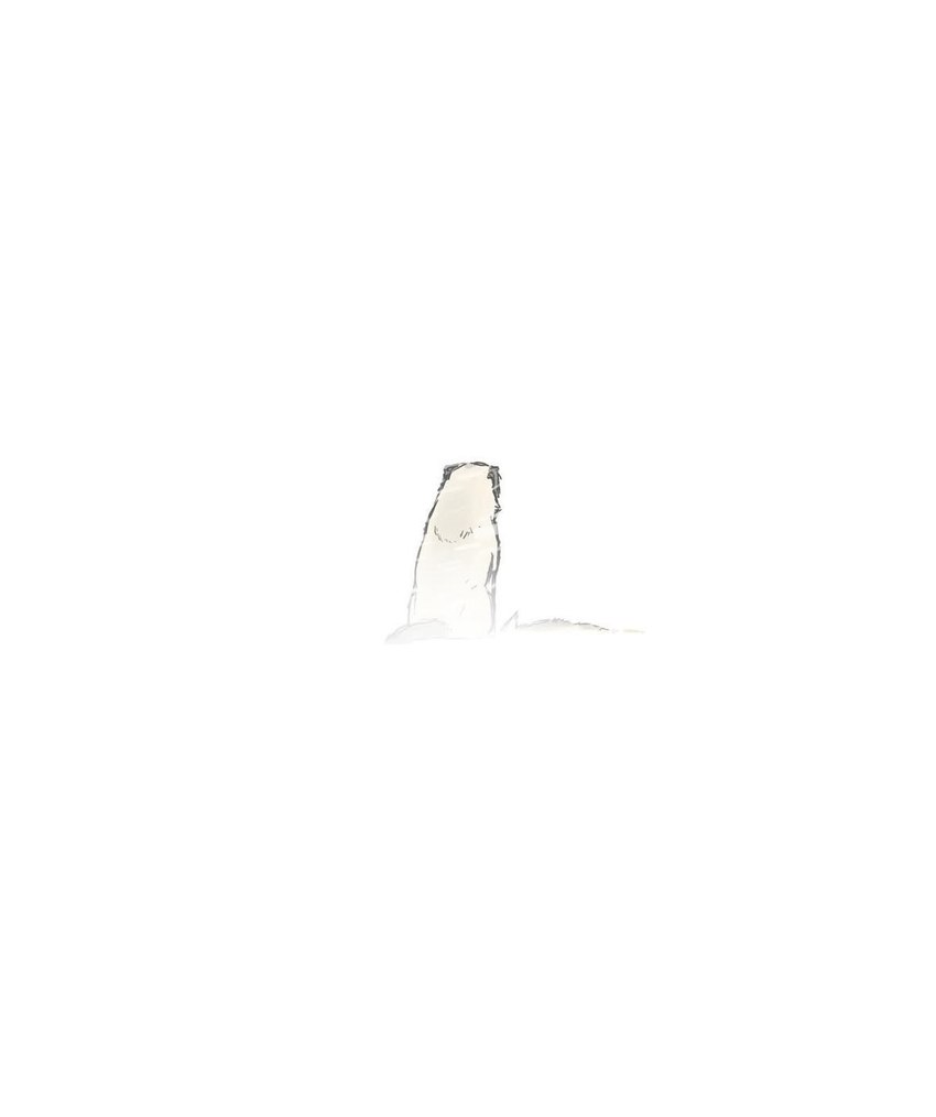 black_body black_fur blurred_background corpse death duo feral fur male outside simple_background sitting snow snowing solo white_background white_body white_fur pet_foolery canid canine canis domestic_dog mammal wolf comic hi_res