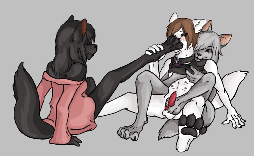 anthro chest_rub clothing collar crop_top feet female femboy foot_fetish foot_grab foot_on_face foot_play foot_sniffing footjob from_behind_position group male male/female sex shirt sitting sniffing topwear trio morir sabbyth canid canine canis mammal wolf