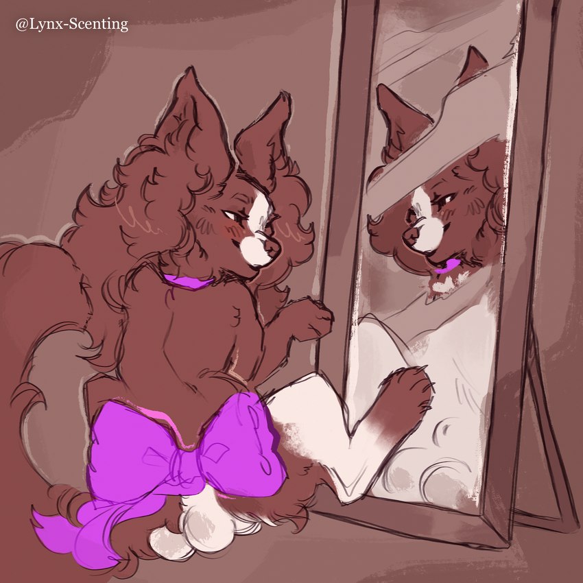 admiring_self animal_genitalia balls big_balls bow_ribbon collar femboy feral genitals male mirror reflection sheath small_but_hung solo lynx_scenting coconut_(cokotheschnoot) canid canine canis chihuahua domestic_dog mammal mixed_breed papillon toy_dog 1:1 hi_res