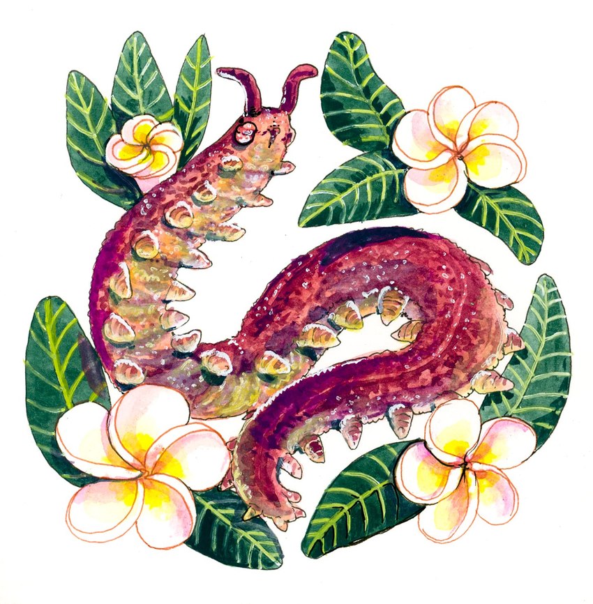 ambiguous_gender feral flower multi_leg multi_limb plant plumeria solo goat-soap velvet_worm hi_res traditional_media_(artwork)