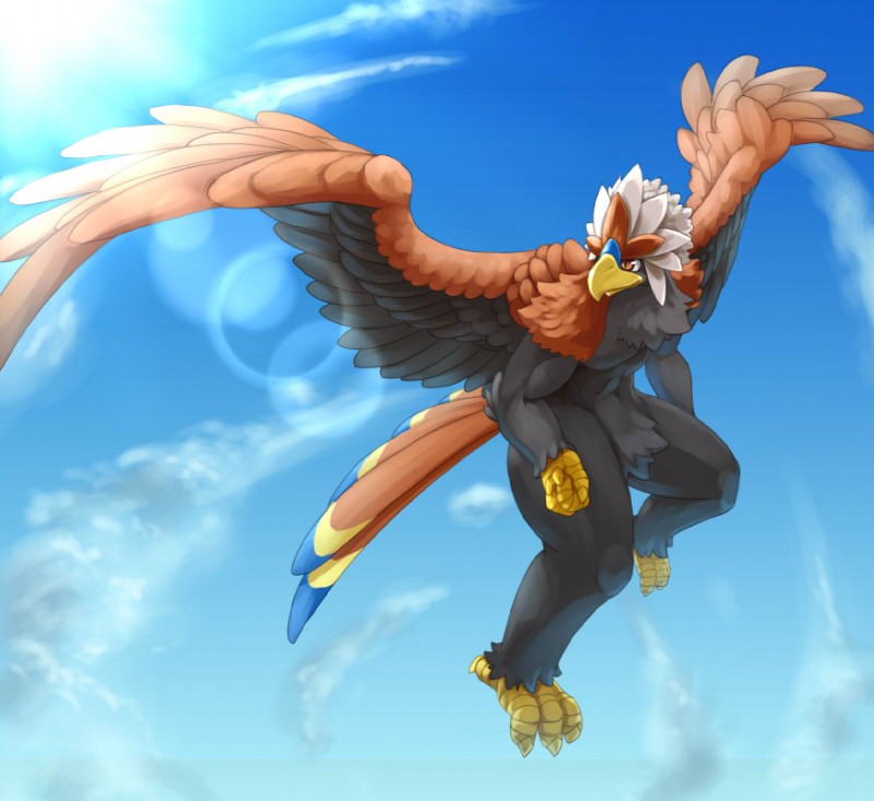 anthro anthrofied biceps feathered_wings feathers flying male muscular muscular_anthro muscular_male nude pokemorph pupils quads slit_pupils solo spread_wings thick_thighs wings biri riot41 nintendo pokemon accipitrid accipitriform avian bird braviary eagle generation_5_pokemon pokemon_(species)