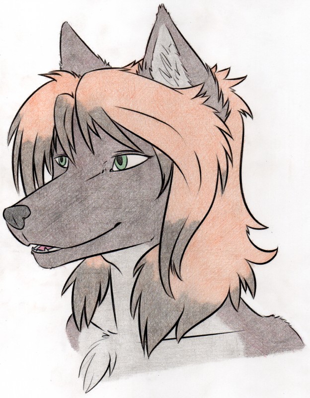 anthro black_body black_fur chest_tuft female fur green_eyes grey_body grey_fur grin hair multicolored_hair nude open_mouth red_hair short_hair simple_background smile solo teeth tuft two_tone_hair white_background raphial sierraar sierra_blakely canid canine canis mammal wolf 2015 absurd_res artist_collaboration bust_portrait graphite_(artwork) hi_res portrait traditional_media_(artwork)