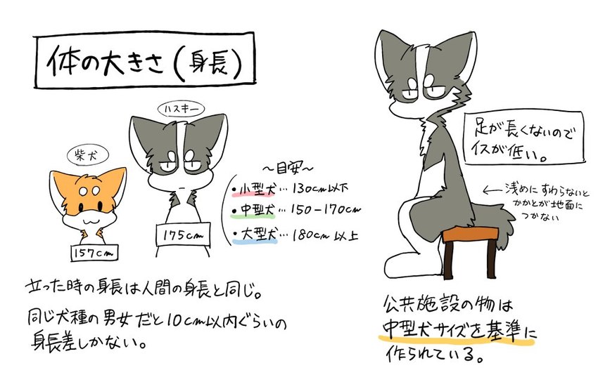 chair chart countershading duo furniture height_chart semi-anthro sitting text ayaka kyappy shibeta canid canine canis domestic_dog husky mammal nordic_sled_dog shiba_inu spitz japanese_text translated