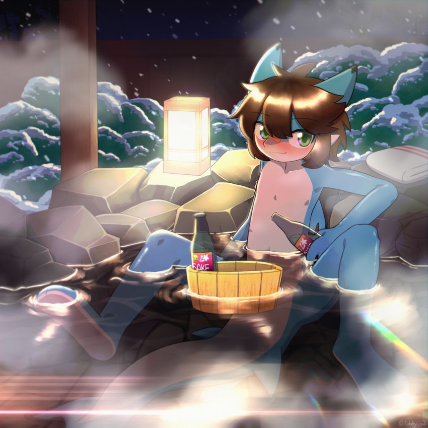 3_toes alcohol anthro bathing beverage blush bottle bucket container countershade_feet countershading detailed_background feet green_eyes holding_bottle holding_container holding_object kemono long_tail looking_at_viewer male naturally_censored navel night nude paws plantigrade rock sake smile smiling_at_viewer soles solo tail toes water young young_anthro tabby_x2 tundra_(tundra_shark) fish marine shark 1:1 2023 absurd_res hi_res