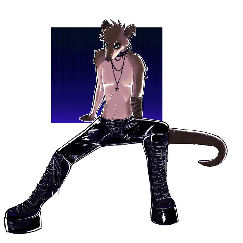 alternative_fashion anthro black_collar boots bottomwear clothing collar footwear goth laces leather leather_bottomwear leather_clothing leather_pants male nipples pants platform_footwear sexy_eyes shirtless shoes solo spiked_collar spikes stinkyandsmelly smelly_(stinkyandsmelly) american_opossum mammal marsupial water_opossum 1:1 hi_res