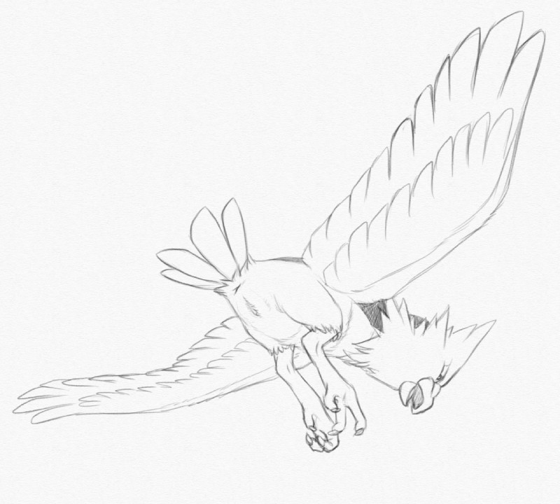 anus avian_butt avian_feet beak feathered_wings feathers feet female feral flying genitals looking_down open_mouth pussy rear_view simple_background solo spread_wings talons toes white_background wings yaroul nintendo pokemon avian bird generation_1_pokemon pokemon_(species) spearow 2015 graphite_(artwork) monochrome sketch traditional_media_(artwork)