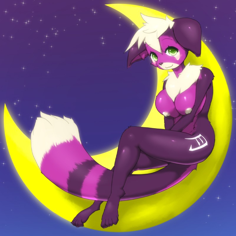 anthro biped breasts female fur green_eyes kemono moon nipples nude purple_body purple_fur sitting solo unp canid canine canis domestic_dog mammal procyonid raccoon 1:1