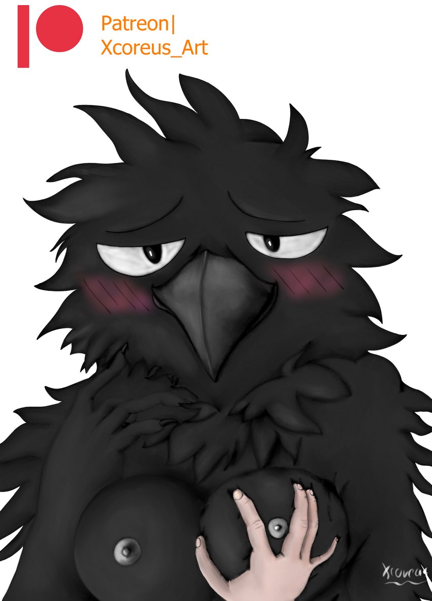 anthro beak big_breasts blush breast_grab breasts claws duo feathers female first_person_view fluffy half-closed_eyes hand_on_breast hand_on_cheek human_pov humanoid_hands male male/female narrowed_eyes nipples patreon_logo patreon_username pov_hands simple_background smile white_background xcoreus patreon avian bird corvid corvus_(genus) human mammal oscine passerine raven colored hi_res shaded signature