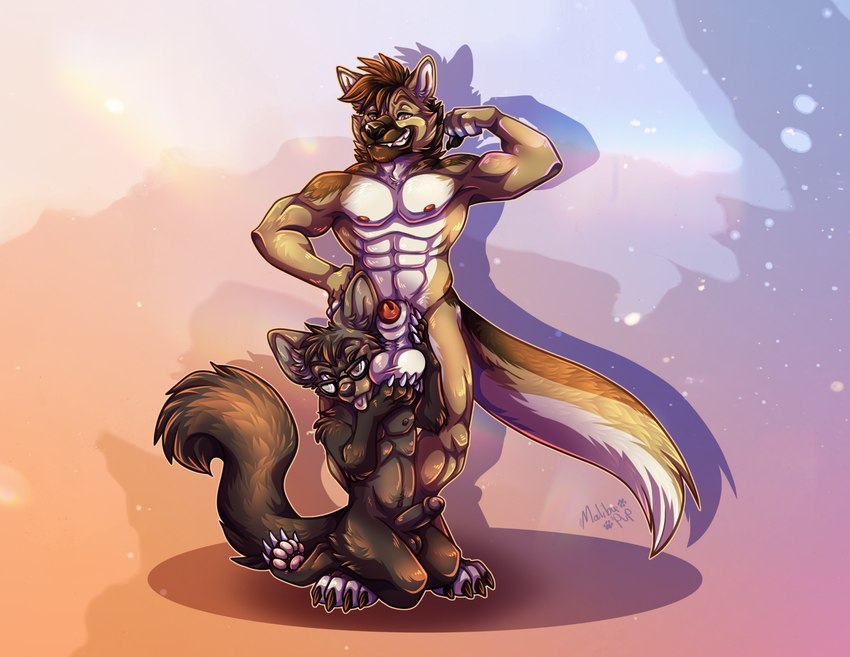 abs animal_genitalia anthro ball_grab ball_worship balls brown_body brown_eyes brown_fur duo erection eyewear flexing flexing_bicep foreskin fur genitals glasses grin kneeling male male/male nipples pawpads penis penis_tip pink_pawpads pose sheath smile standing_over tongue tongue_out malibupup arcshep calvin_sable canid canine canis domestic_dog german_shepherd gulonine herding_dog mammal marten mustelid musteline pastoral_dog sable_(marten) hi_res